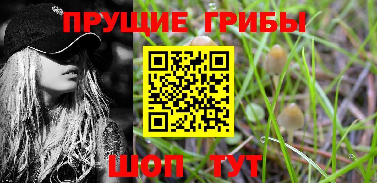 Комсомольск-на-Амуре  Галлюциногенные грибы Cubensis  Вход с VPN 