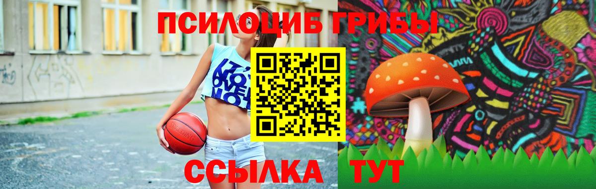 Галлюциногенные грибы Psilocybe Комсомольск-на-Амуре